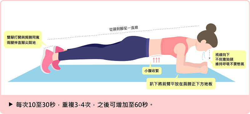 棒式訓練強化腰部核心肌群
