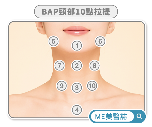 頸部BAP美學點位圖解