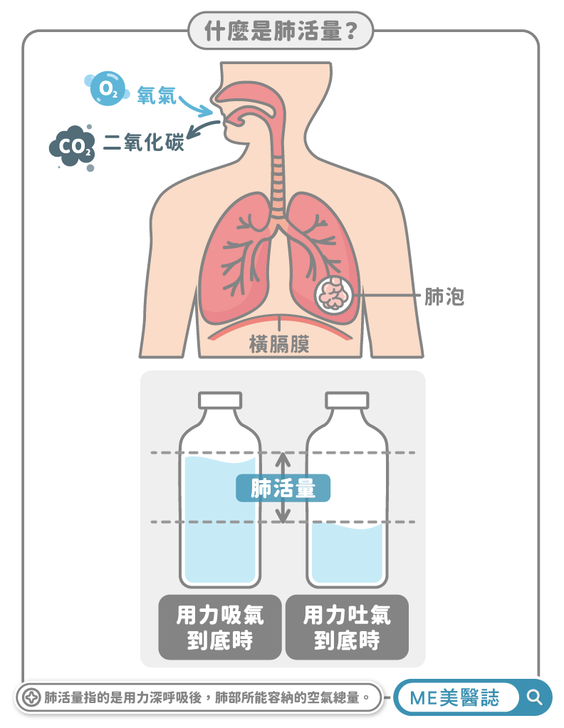 肺活量運作機制示意圖