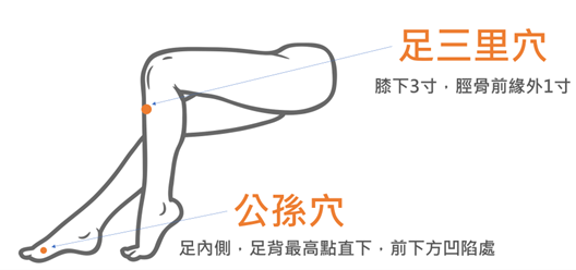 足三里穴及公孫穴
