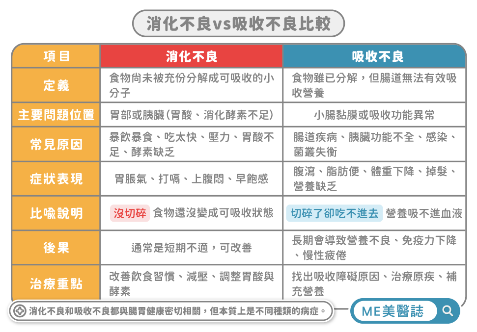 吸收不良與消化不良機制解析