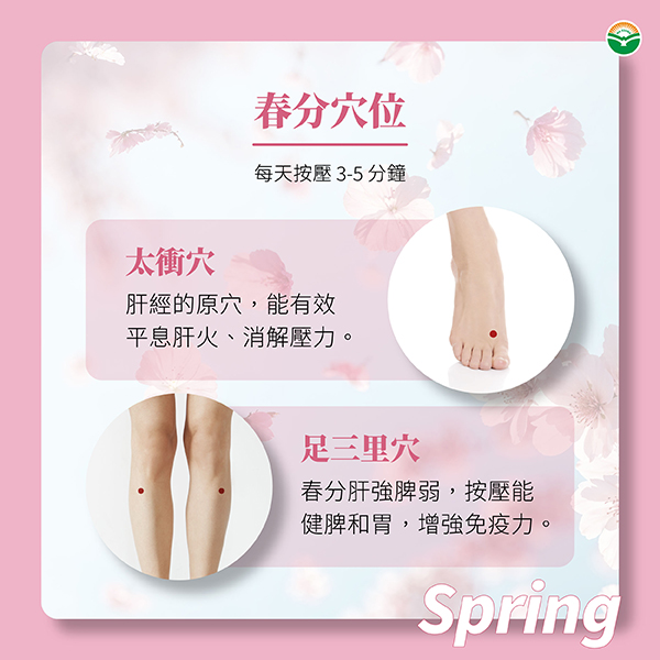 春分穴位