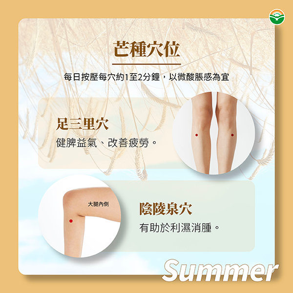 芒種穴位