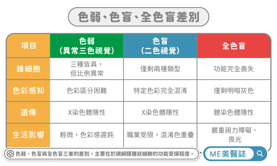 全色盲與色弱差異