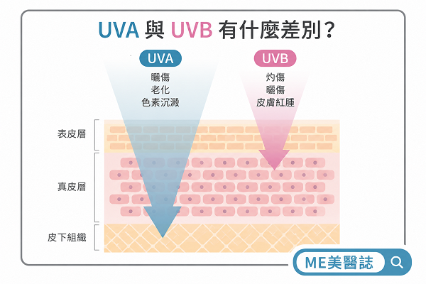 UVA 與 UVB 的差別