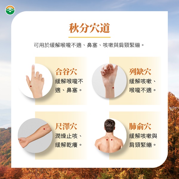 秋分養生4穴位