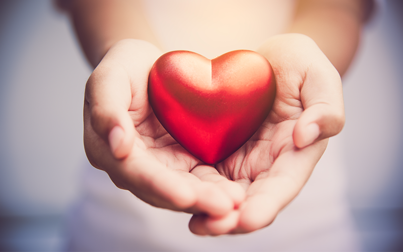 從肝腎調心神，緩解北捷事件帶來的焦慮與恐慌