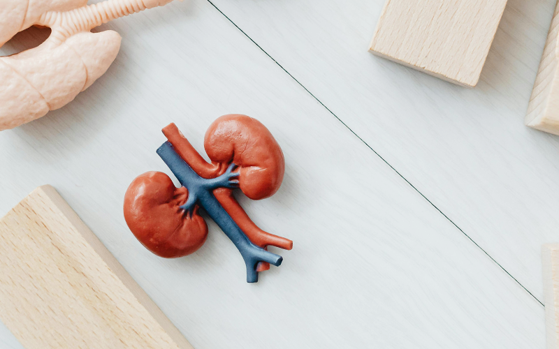 在家洗腎更貼近生活,居家醫療+遠距管理,提升可近性與照護品質 在家洗腎更貼近生活,居家醫療+遠距管理,提升可近性與照護品質