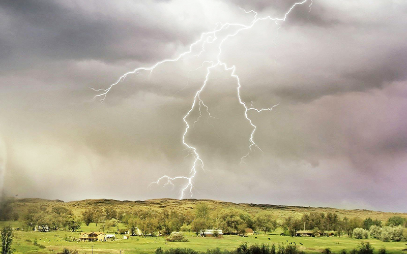 驚蟄節氣到!中醫師推4茶飲、3穴道教你養肝祛濕 驚蟄節氣到!中醫師推4茶飲、3穴道教你養肝祛濕