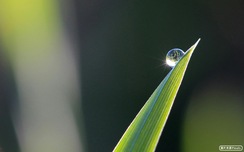 秋意漸濃，白露節氣保養攻略輕鬆養出水潤肌