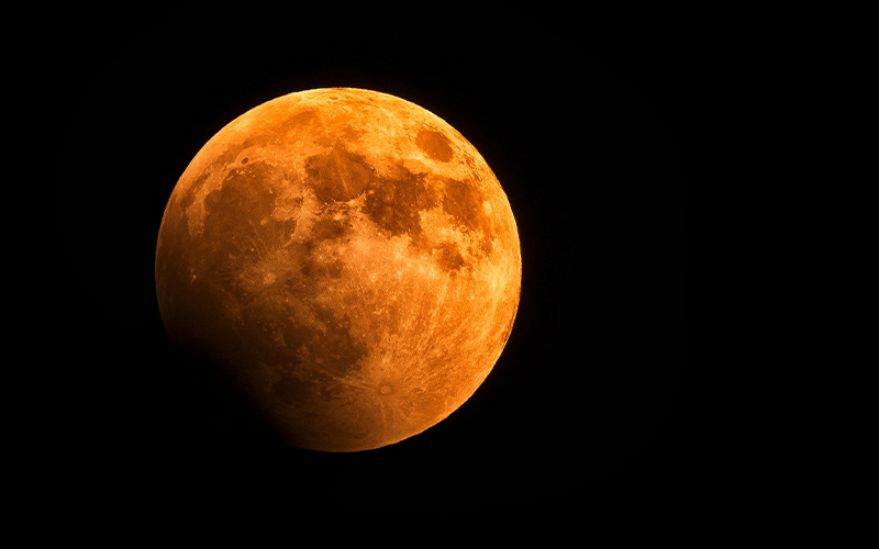 中秋節吃柚子「藥」注意的大小事