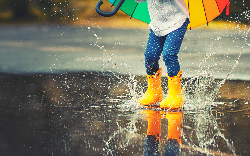 暴雨過後別踩積水，恐引發「類鼻疽」感染