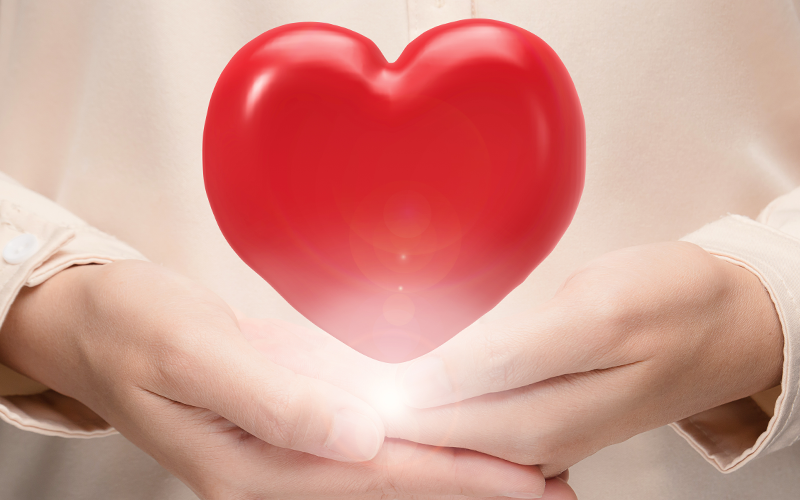 衛愛傳承，志力相挺，114年度志工暨團體楷模獎表揚大會