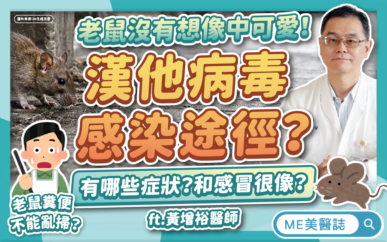 老鼠可能沒有想像中可愛!漢他病毒怎傳染?初期症狀?防治鼠患這樣做