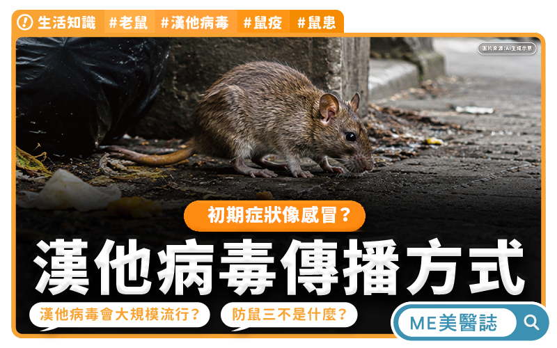 漢他病毒傳播方式？初期症狀像感冒？老鼠大便別亂掃，當心吸入性感染
